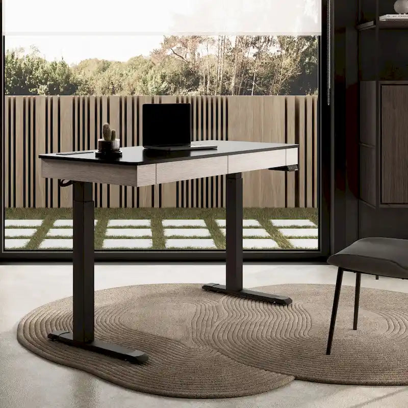 Eureka Ergonomic Home Office Electric Height Adjustable Standing Desk with 2 Drawers & Monitor Stand